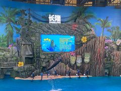 -珠海长隆海洋王国