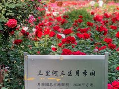-三里河公园