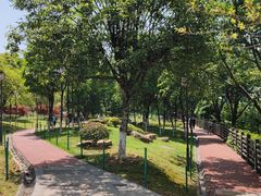 -铁山坪森林公园