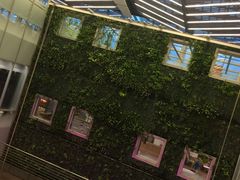 -西沃古尔·拉姆古兰爵士国际机场