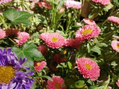 -春暖花开(西溪店)