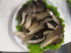 平菇-風林火山烤室·涮肉