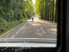 -青城山