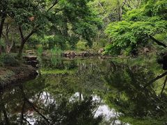 -秋霞圃