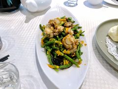 凉拌扇贝黄瓜苗-双井轩(双井店)