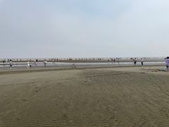 -启东黄金海滩景区