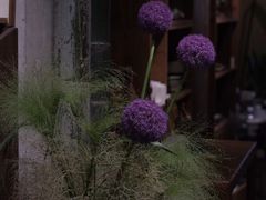 -苏州本色美术馆
