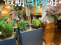 -段公子·精品云南菜
