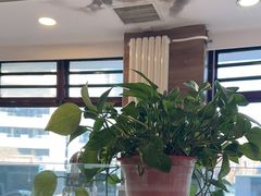 -嘉和一品粥(政府街店)