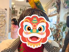 -吉丁鸟咖·异宠·寄养