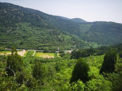 -府君山公园