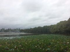 -东湖落雁景区