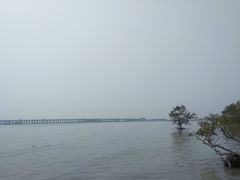 -宝安西湾红树林湿地公园