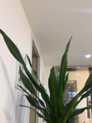 -初心纹眉洗眉·美睫专业店