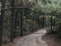 -缥缈峰景区