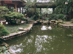 -南山植物园