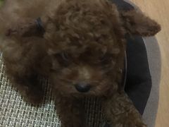 -纳吉亚猫专科动物医院博雅分院