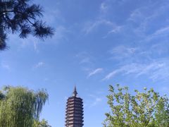 -西海子公园