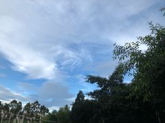 -厦门市大同中学