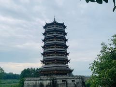 -桤木河湿地公园