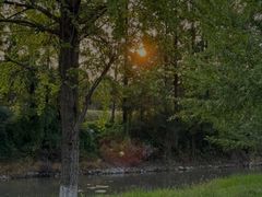 -两河城市森林公园