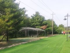 -尚庄度假村·庭台树下·户外烧烤·团建CS·轰趴营地(上庄水库店)