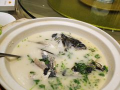 泉水珊瑚鱼头煲-小厨娘淮扬菜(板桥一店)