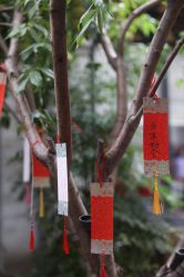 -Sunny喜铺婚礼定制·求婚策划