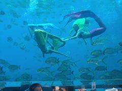 -瑞德姆美人鱼海底演艺主题餐厅(亚龙湾店)