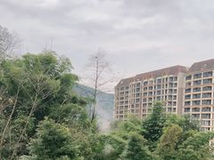 -花水湾第一村温泉大酒店