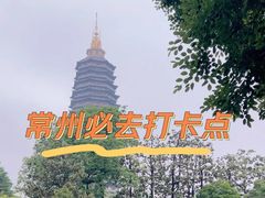 -红梅公园