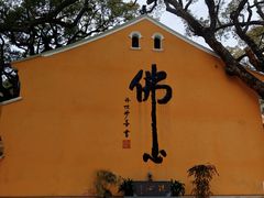 -普陀山慧济禅寺