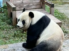 -南昌动物园