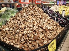 -北京华联生活超市(庄河世纪海云天店)