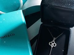 -Tiffany & Co.蒂芙尼
(天津万象城店)