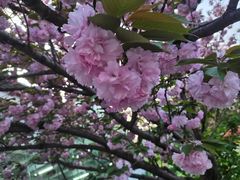 -上海游泳馆(地铁站)