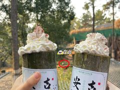 -安吉竹博园