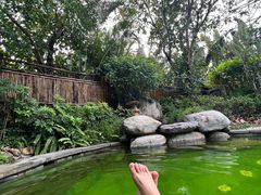 -碧桂园润杨溪谷温泉酒店