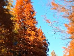 -南京市无想山景区