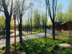 -东郊湿地公园