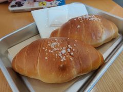 -WHEN PIGS FLY当猪飞