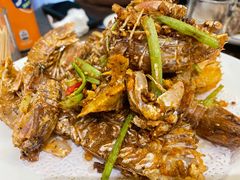 -小海丁