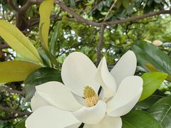 -比斯特上海购物村精品奥特莱斯