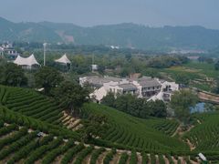 -帐篷客·溪龙茶谷度假酒店