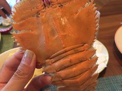 -济南香格里拉·咖啡泉自助餐厅