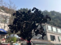 -龙井壹号·茶缘山景宴(龙井村店)