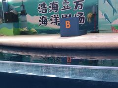 -成都浩海立方海洋公园