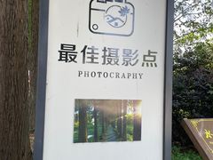 -陶辛水韵