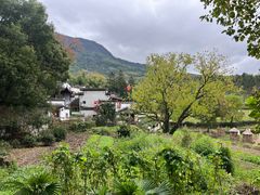 -塔川景区