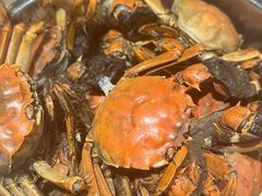 -星伦多自助料理(爱琴海店)
